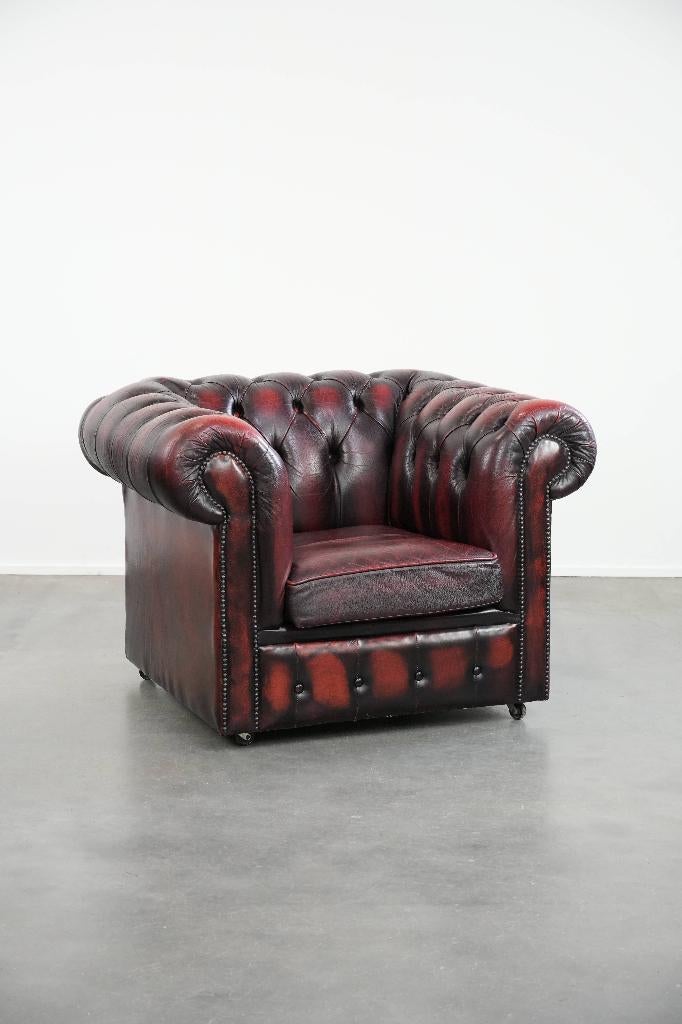 Tijdloze rundleren Engelse chesterfield fauteuil op wieltjes, Huis en Inrichting, Fauteuils, Ophalen, Gebruikt, ., Engels, Klassiek