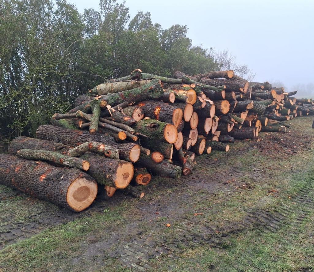 Te koop haardhout elzen hout, 6 m³ of meer, Ophalen of Verzenden, Blokken