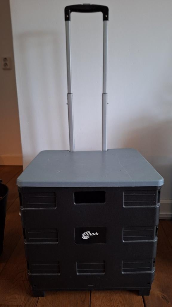 Verrijdbare krat / boodschappenkrat, Opvouwbaar, Minder dan 35 cm, Minder dan 50 cm, Ophalen of Verzenden