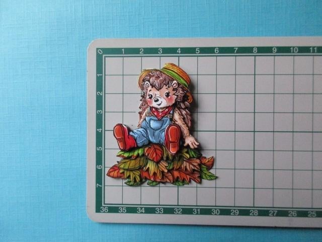 y90b Egel, Verzenden, Nieuw, Dieren, Overige typen
