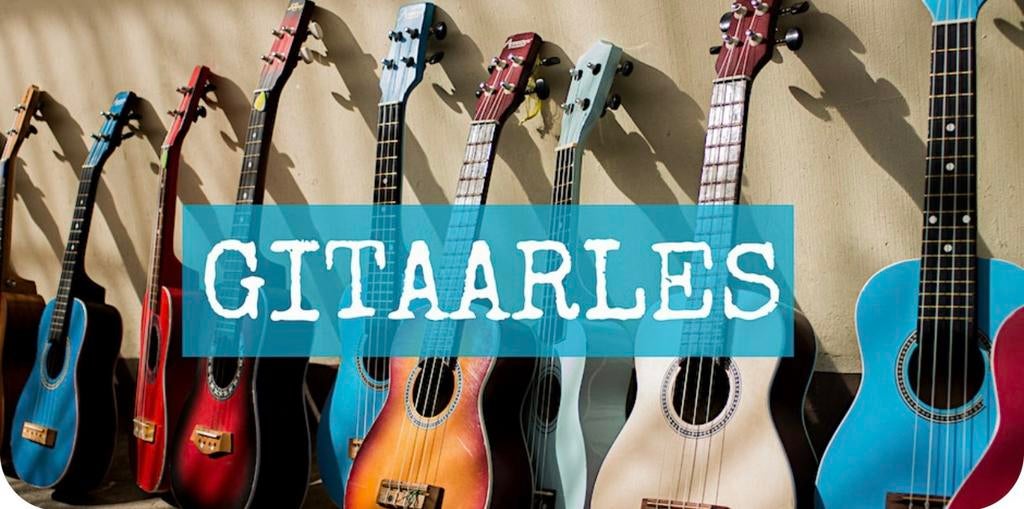 Gitaarles Groningen 4x €24 voor 1 uur + gratis proefles, Diensten en Vakmensen, Muziekles en Zangles, Elektrische instrumenten