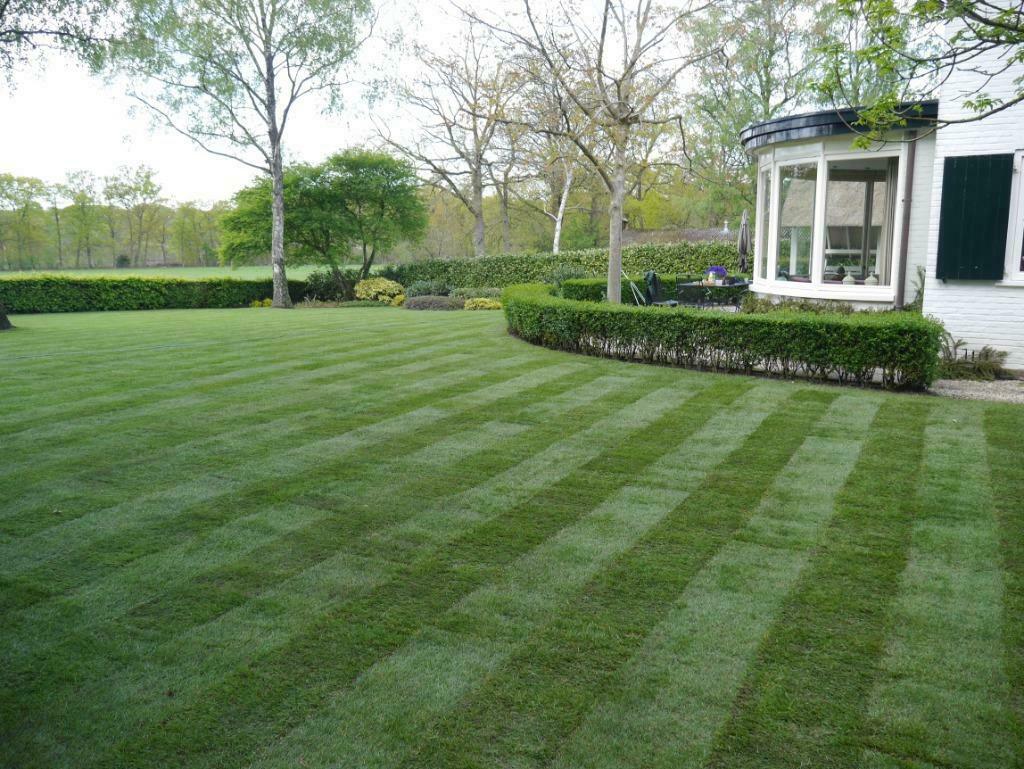 Graszoden gazon aanleg gras, Ophalen of Verzenden, Nieuw, 20 m² of meer, Gras