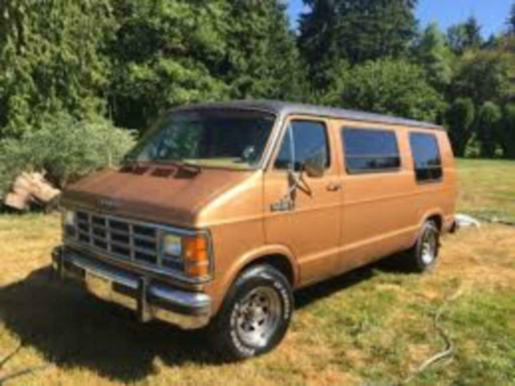 Deurrubbers Dodge B serie Van's 1984 / 1990, Auto-onderdelen, Ophalen of Verzenden, Nieuw, Amerikaanse onderdelen