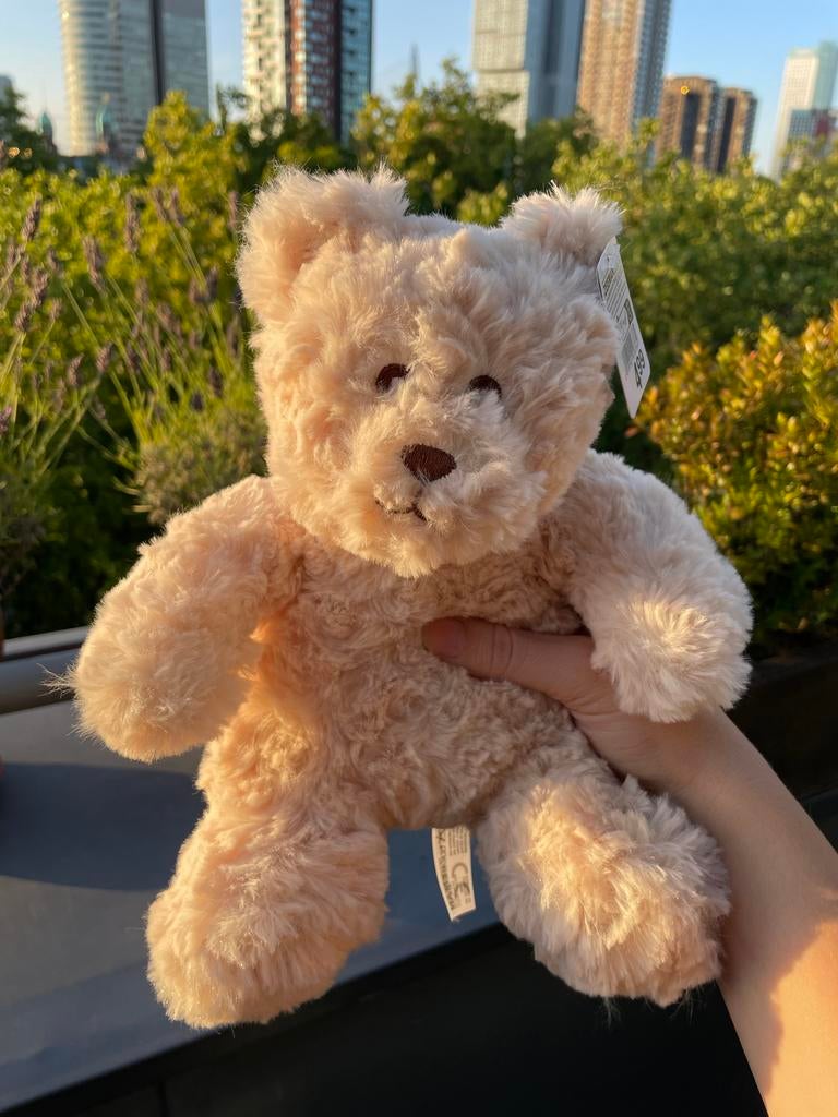 Nieuwe Zeeman Teddybeer Knuffel, Ophalen of Verzenden, Nieuw, Beer
