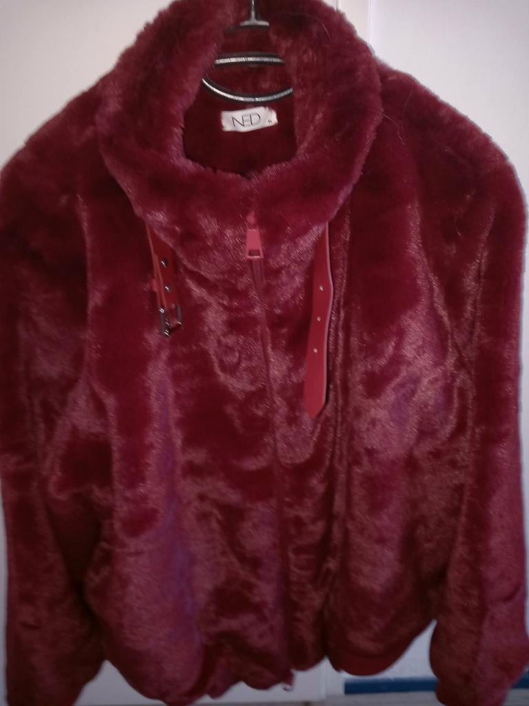 winterjas rood, Ophalen, Zo goed als nieuw, Maat 46/48 (XL) of groter, Rood