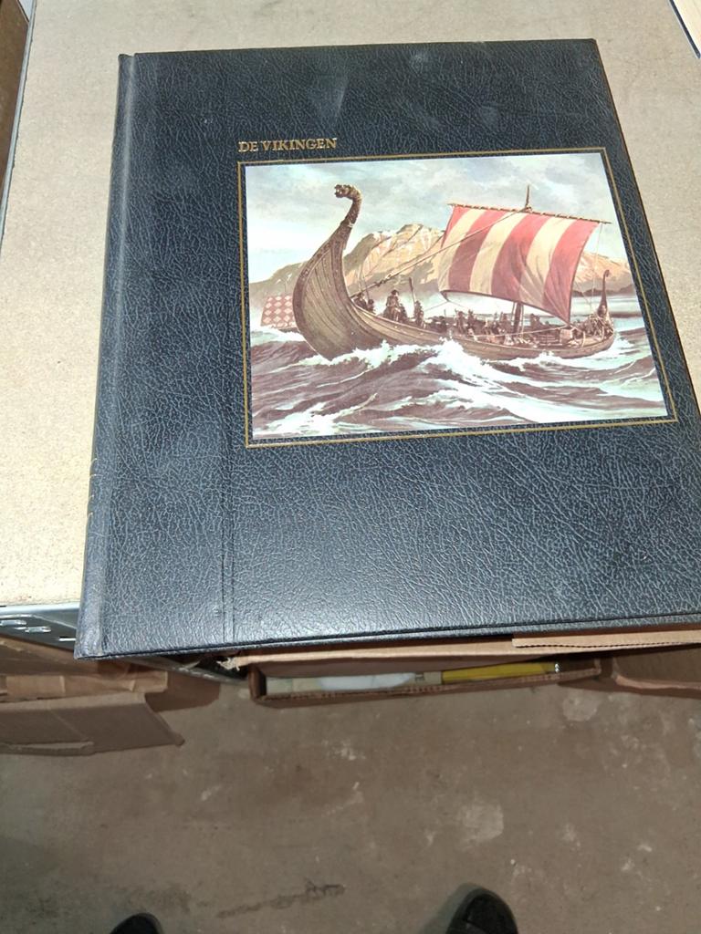 De Vikingen - Historisch Boek over Vikingtijdperk, Ophalen of Verzenden, 20e eeuw of later, Gelezen, Onbekend