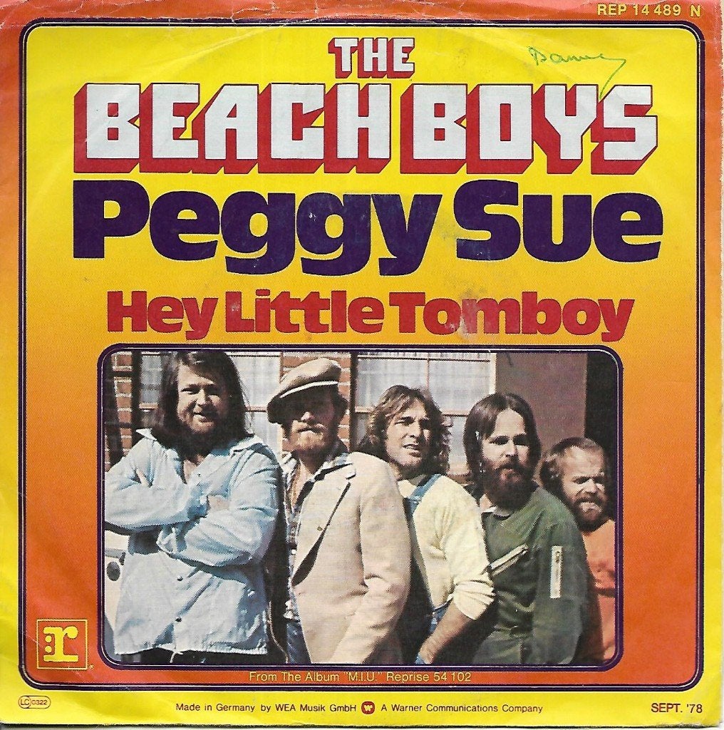 The Beach Boys - Peggy Sue, Fotohoes, Ophalen of Verzenden, Gebruikt, Pop