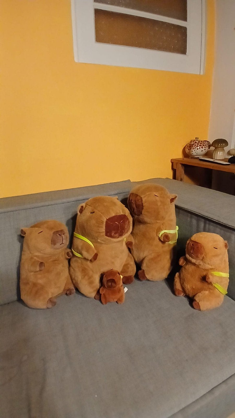 5 lieve Capibara beestjes voor dierenliefhebbers, Ophalen, Overige typen, Zo goed als nieuw, Middelgroot (20 tot 80 cm)