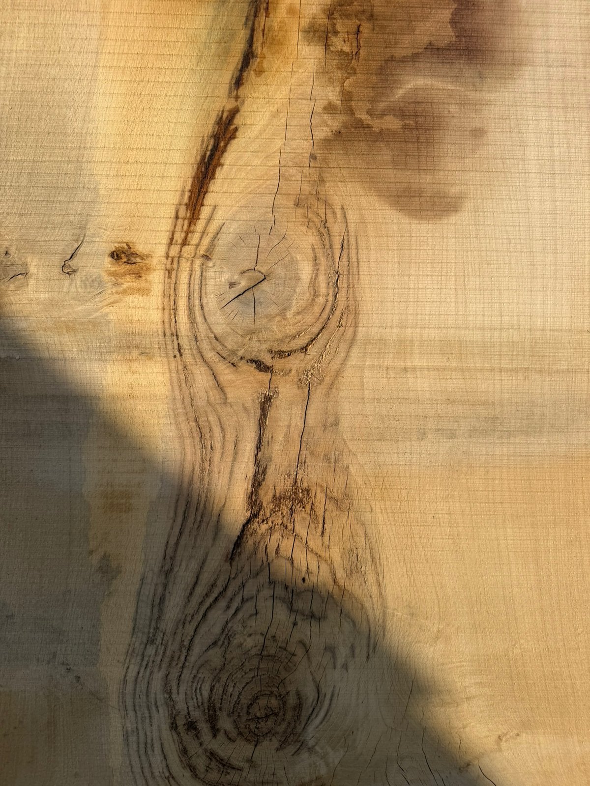 Zeer groot eiken boomstamblad 310x90x8cm, Ophalen, Zo goed als nieuw, 250 cm of meer, Planken