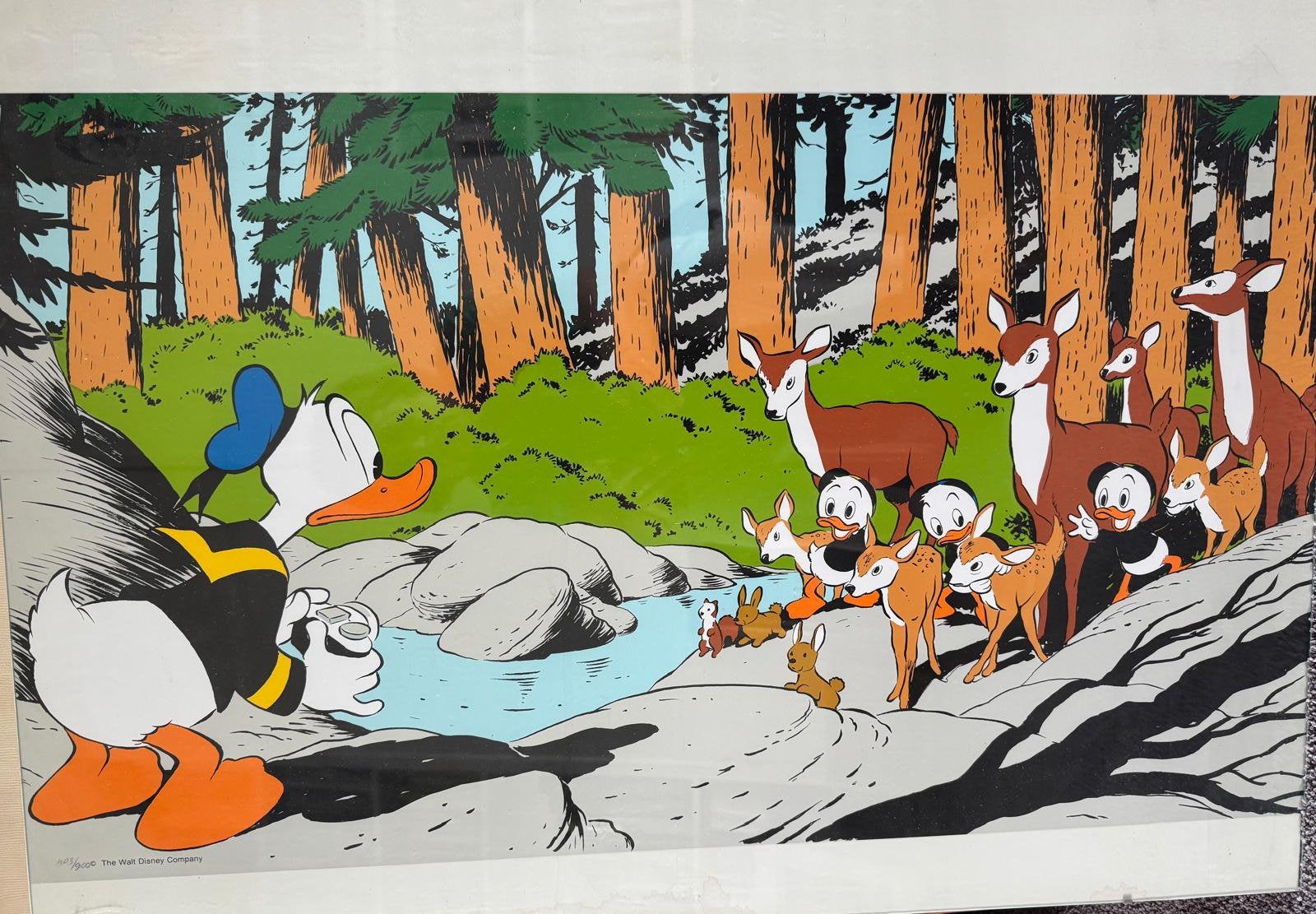 Ingelijst poster Disney natuur Donald Duck met neefjes 40x70, Ophalen, Donald Duck, Zo goed als nieuw, Plaatje of Poster