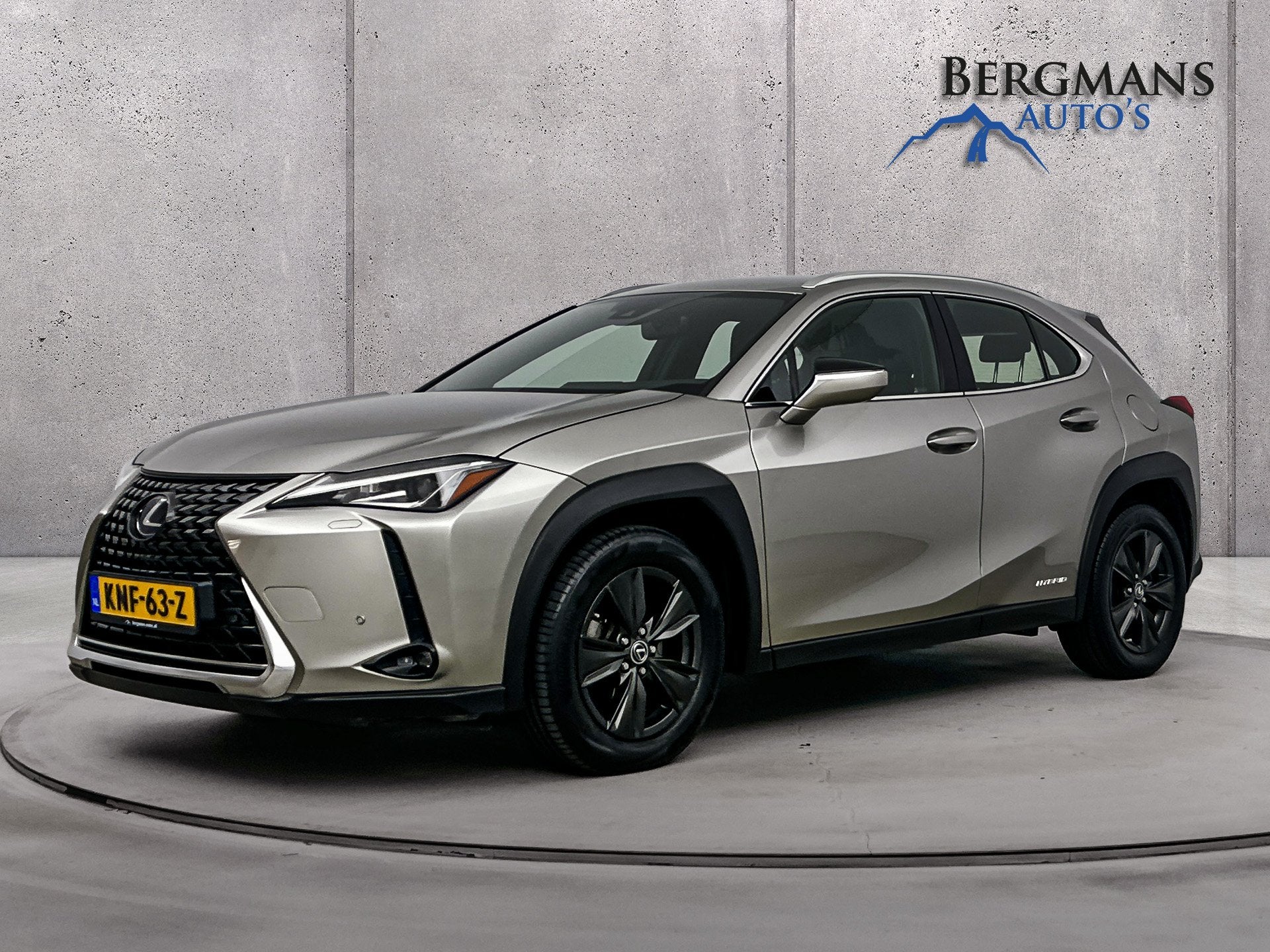Lexus UX - 250h Luxury Line // DEALERONDERHOUDEN // LEDER //, Gebruikt, 4 cilinders, Leder, Bedrijf