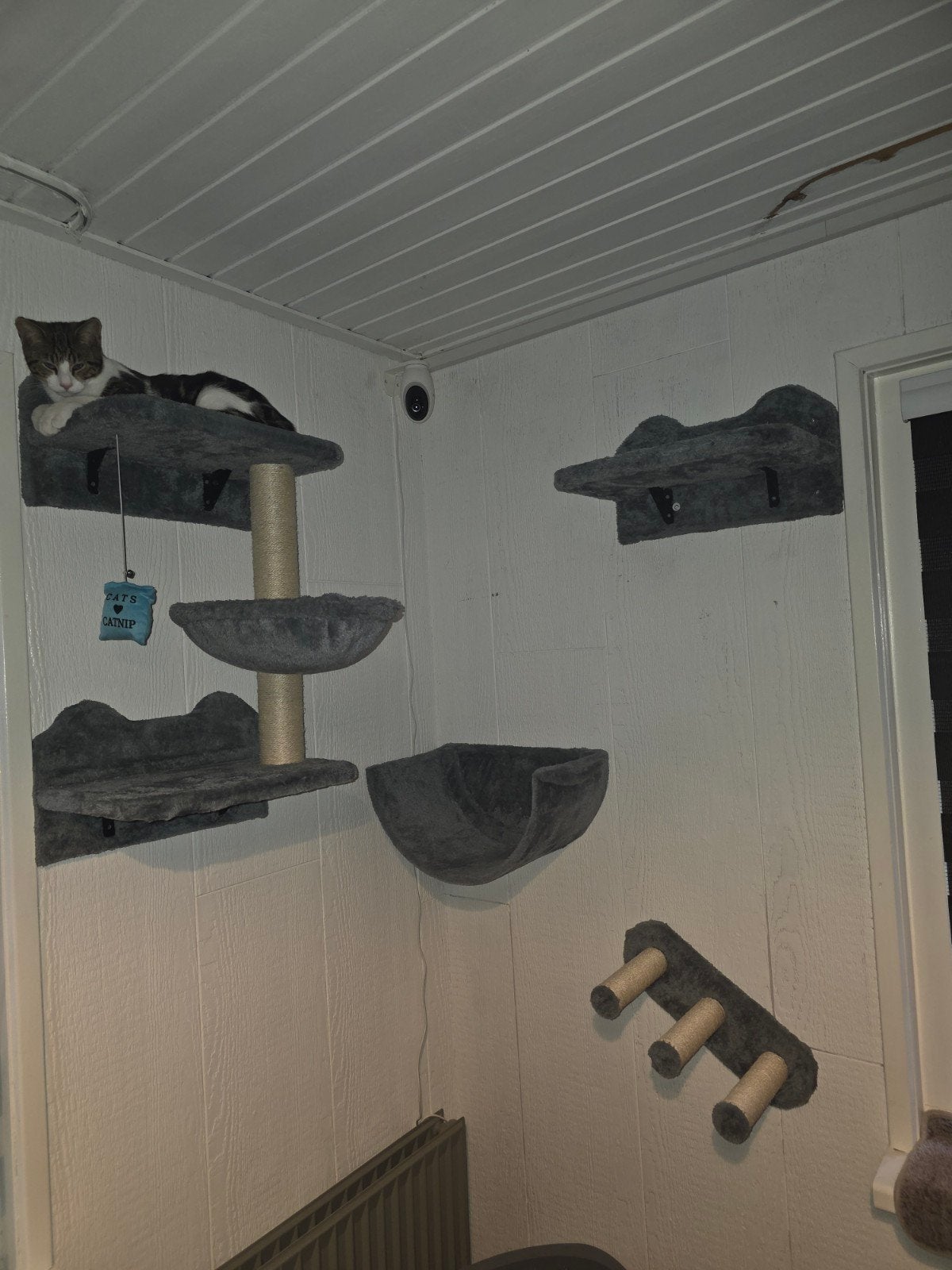 Katten krabpaal, Dieren en Toebehoren, Ophalen, Nieuw