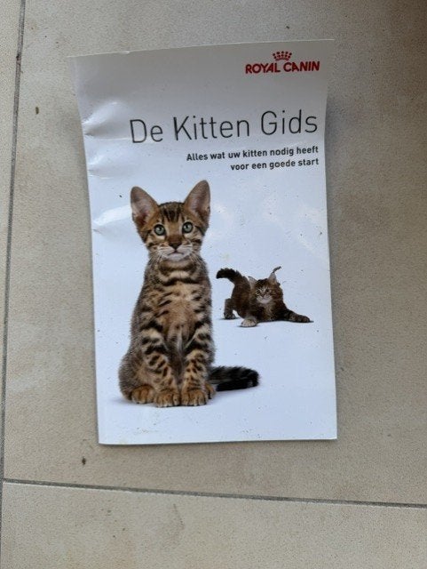 Katten spullen, Dieren en Toebehoren, Ophalen, Gebruikt