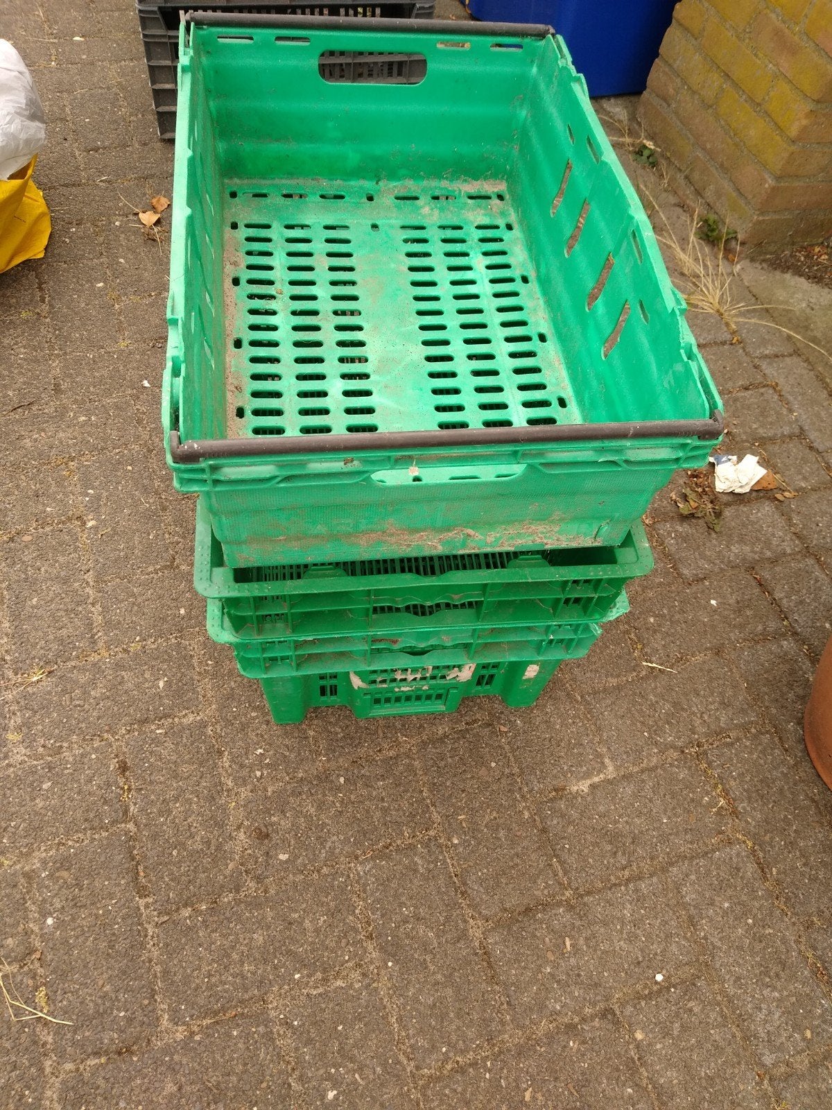Bewaar kratten voor fruit ( appels/peren/kweeperen), Tuin en Terras, Planten | Fruitbomen, Ophalen, Minder dan 100 cm