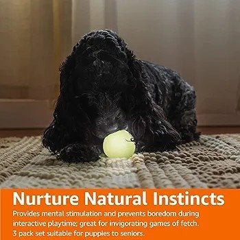 Amazon Basics Glow in the Dark Hondenballen – 3 stuks, Ophalen of Verzenden, Nieuw, Overige typen
