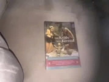 Van Kribbe tot Kerststal - Boek over Kerstmis, Ophalen of Verzenden, Gelezen, Onbekend