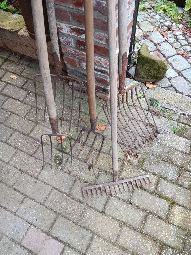 Rieken, Tuin en Terras, Ophalen, Gebruikt, Overige soorten