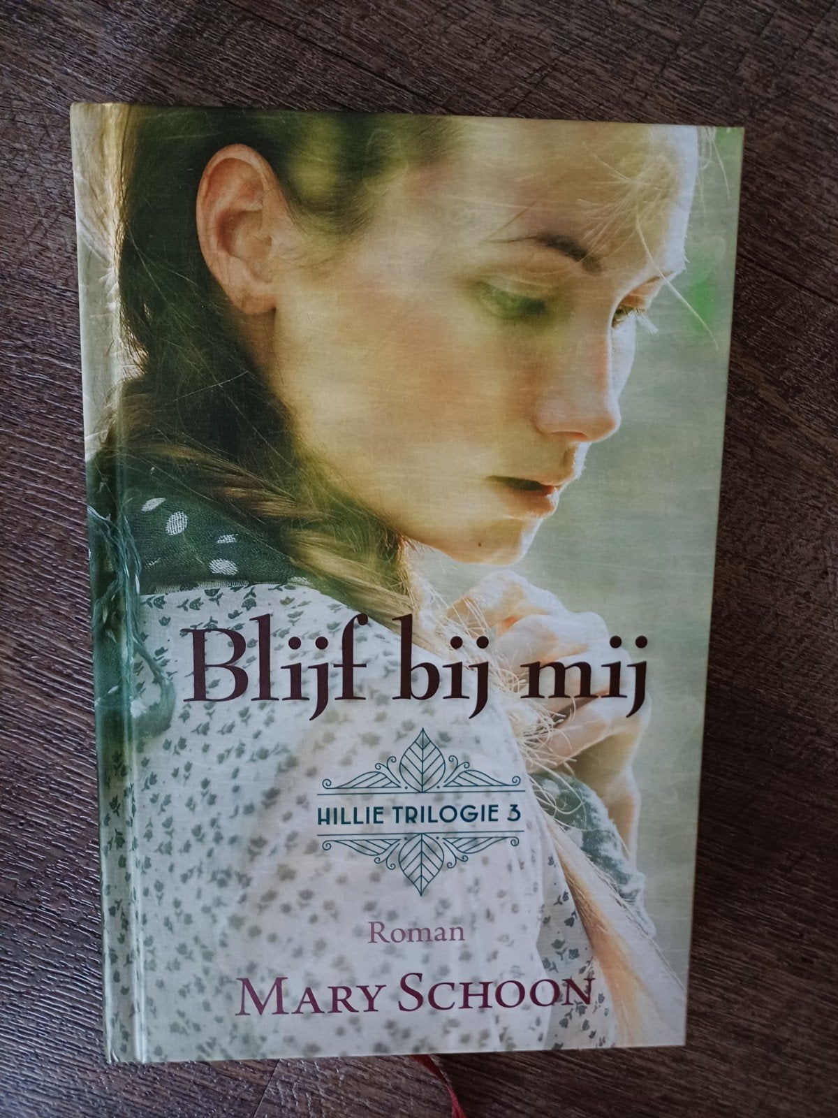 Mary Schoon - Blijf bij mij, Boeken, Noord-Brabant, Ophalen of Verzenden, Zo goed als nieuw, Mary Schoon