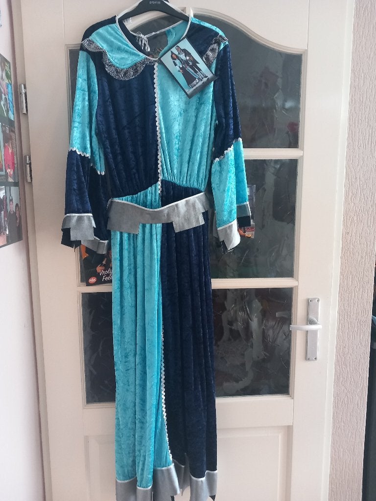 Jurk voor Carnaval/Kasteelvrouw, Kleding | Dames, Carnaval, Maat 46/48 (XL) of groter, Nieuw, Ophalen of Verzenden