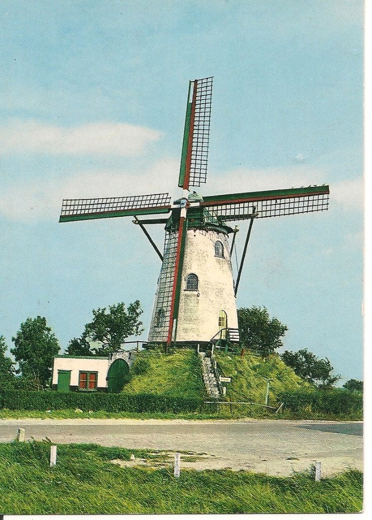 Oude ansichtkaart van Molen in Cadzand, Zeeland, Ophalen of Verzenden, 1960 tot 1980, Ongelopen, Zeeland