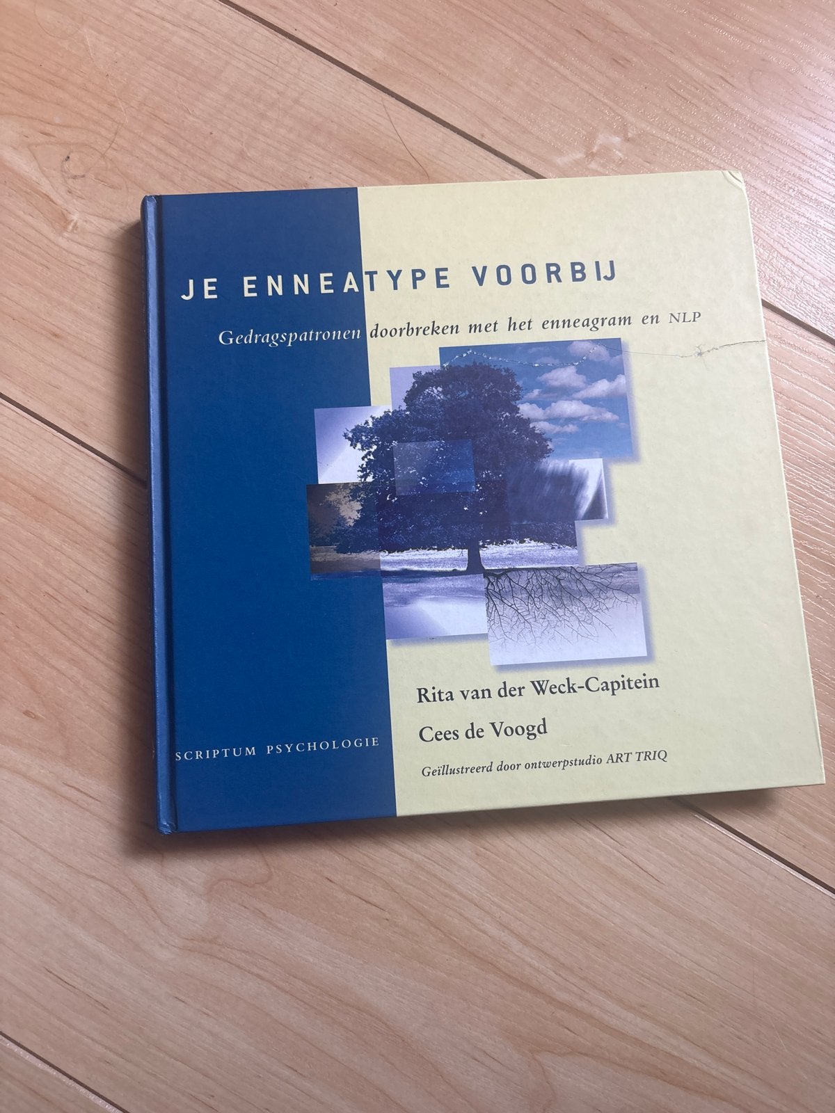 Je Enneatype Voorbij + Het Enneagram Spel, Ophalen of Verzenden, Zo goed als nieuw
