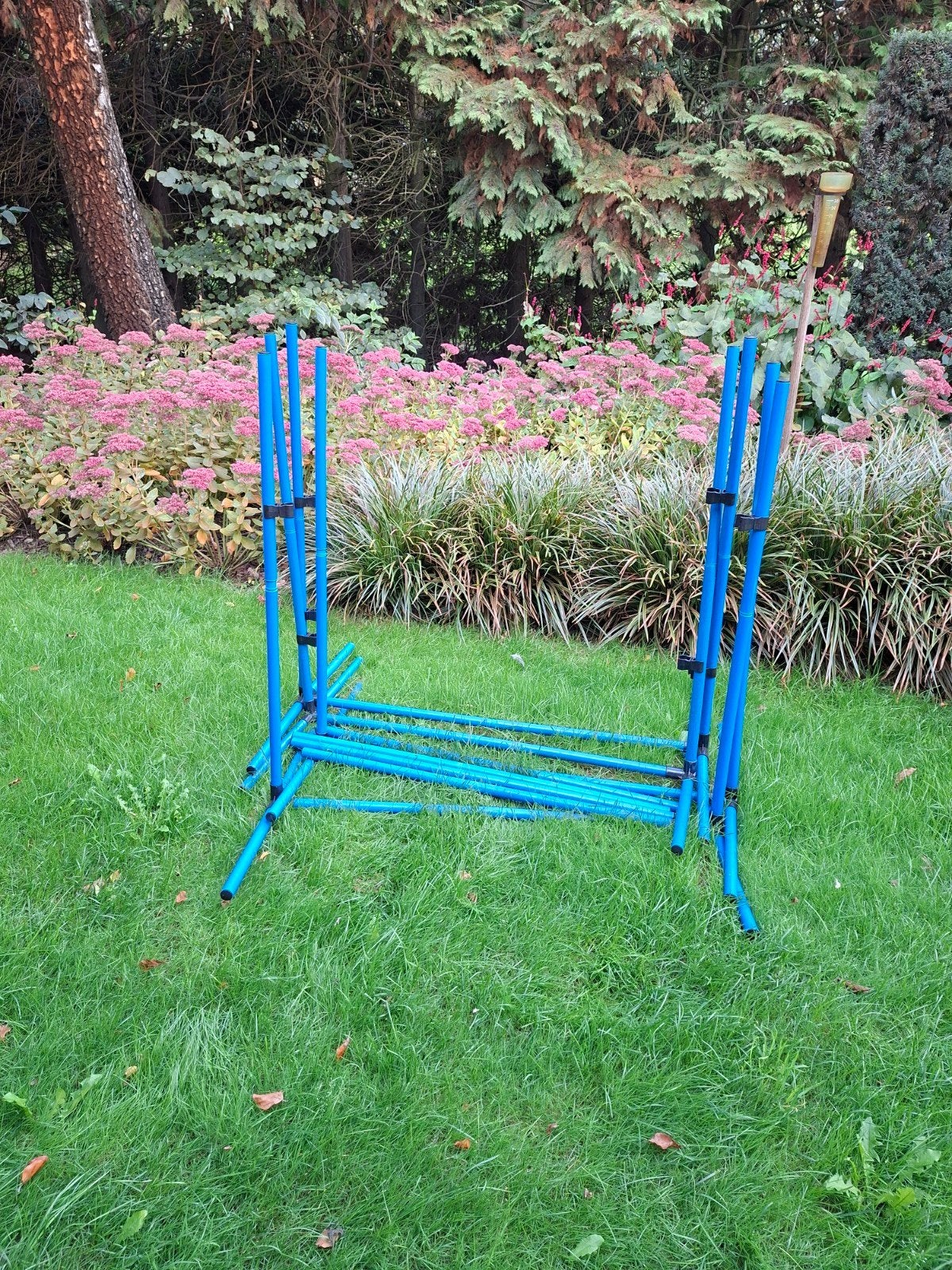 honden agility set, Dieren en Toebehoren, Ophalen