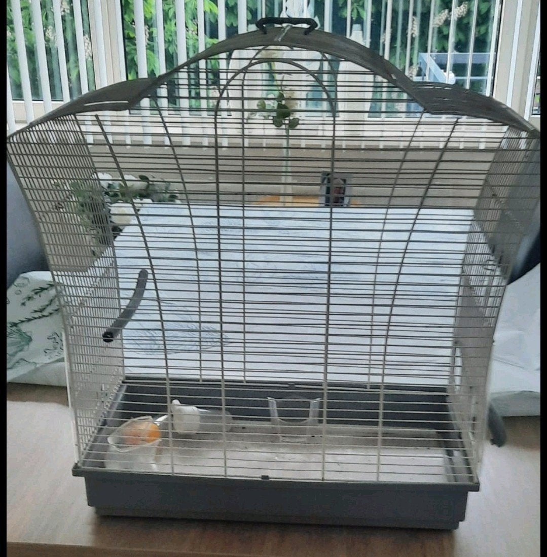 Vogelkooi., Ophalen, Zo goed als nieuw, Metaal, Vogelkooi
