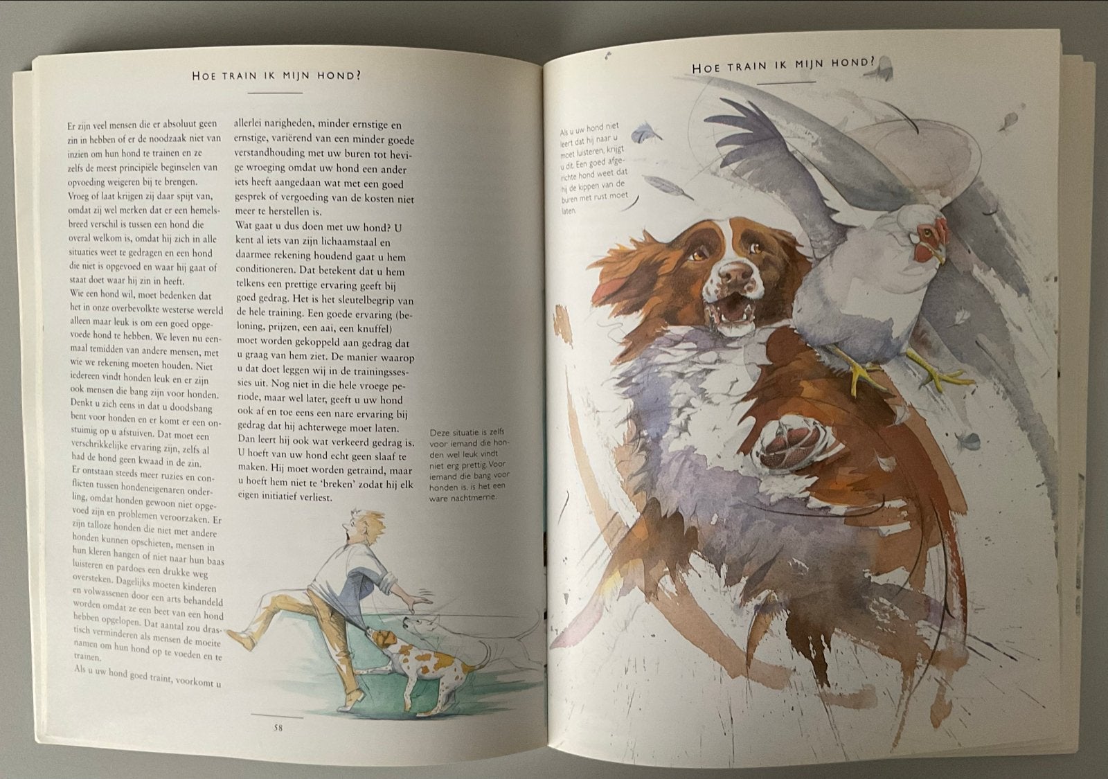 Hondenboeken: Wat Denkt Mijn Hond Van Mij? & Welsh Springer, Boeken, Ophalen of Verzenden, Gelezen, Honden