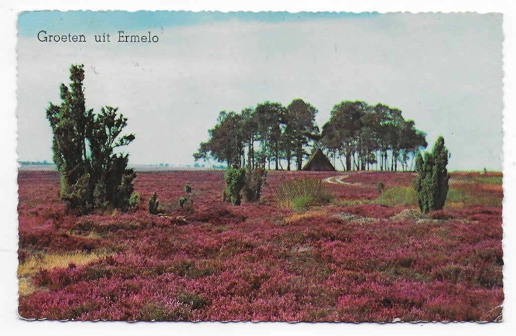 Ermelo de Heide Ansichtkaart ( B7308 )Uit 1966, Ophalen of Verzenden, 1960 tot 1980, Gelopen, Gelderland