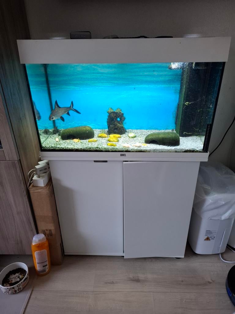 Juwel Rio 125 aquarium met toebehoren led compleet, Dieren en Toebehoren, Vissen | Aquaria en Toebehoren, Ophalen, Gevuld zoetwateraquarium