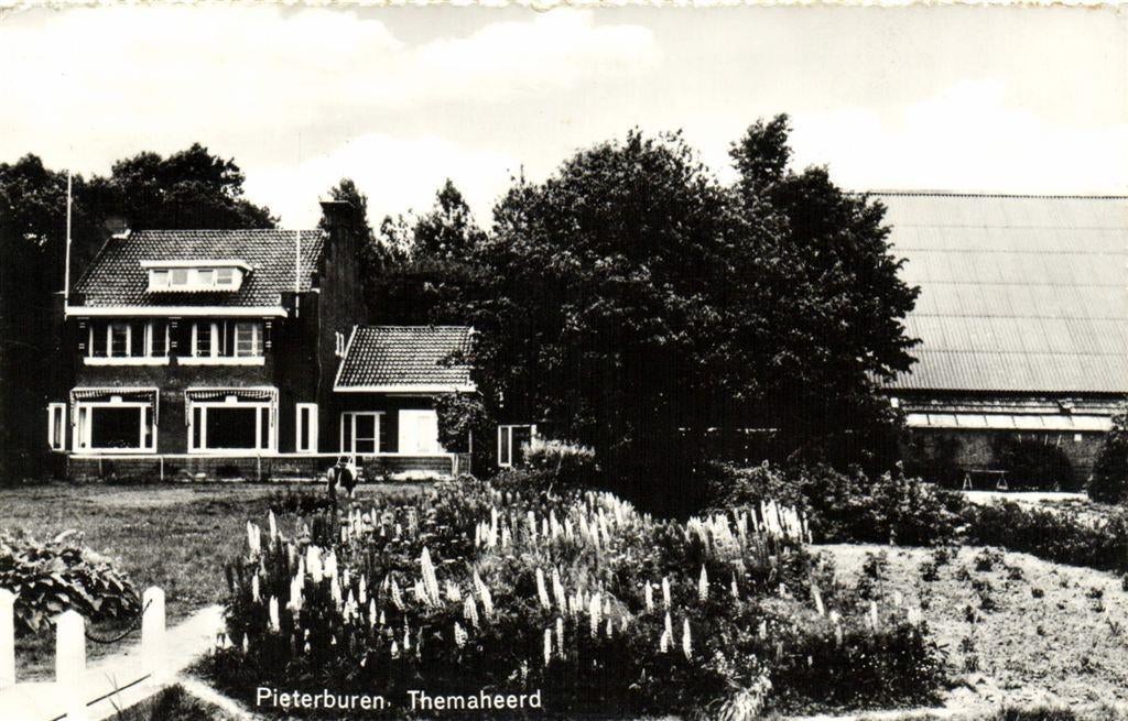 Pieterburen - Themaheerd - 1976 gelopen, Verzamelen, Ansichtkaarten | Nederland, Ophalen of Verzenden, 1960 tot 1980, Gelopen