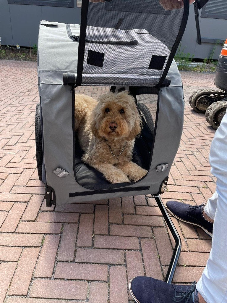 hondenfietskar, splinternieuw, Ophalen, Nieuw, 20 tot 40 kg, Hondenkar