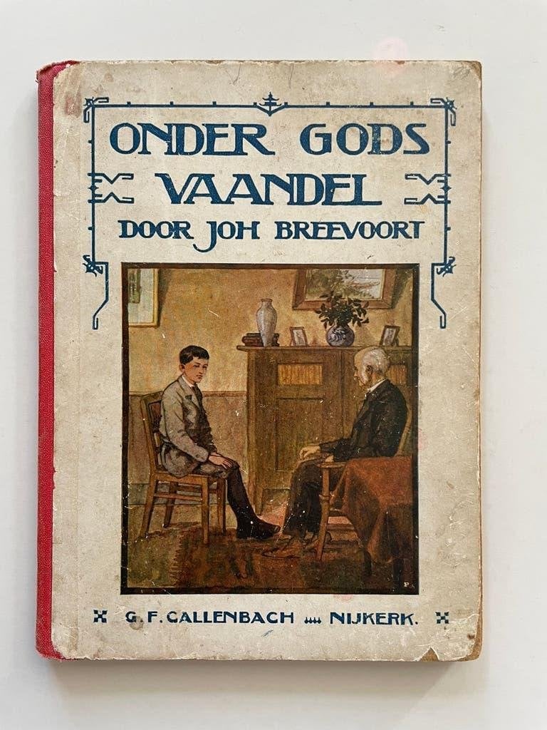 Onder Gods vaandel - Johanna Breevoort, Antiek en Kunst, Ophalen of Verzenden, Johanna Bredevoort