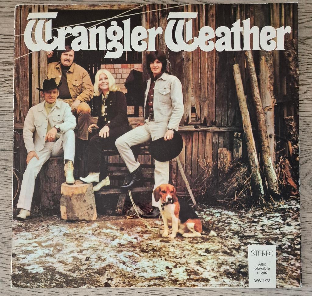Wrangler Band – Wrangler Weather, Ophalen of Verzenden, Gebruikt, 12 inch