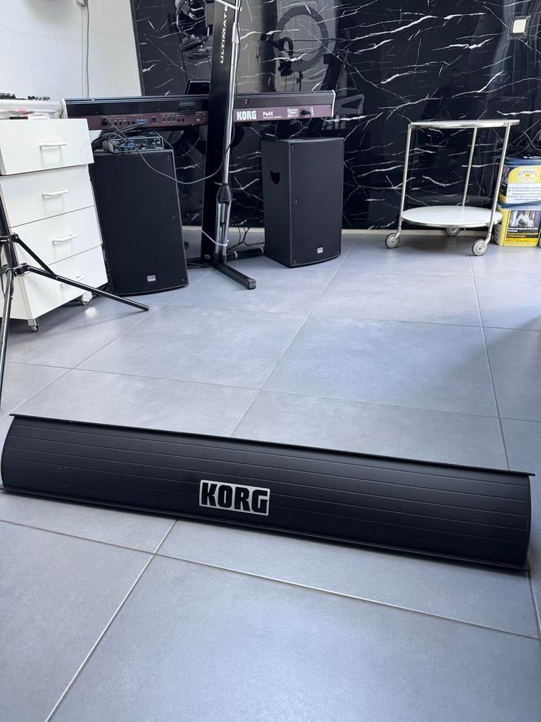 Korg PaAS, Ophalen, Gebruikt, 61 toetsen, Korg