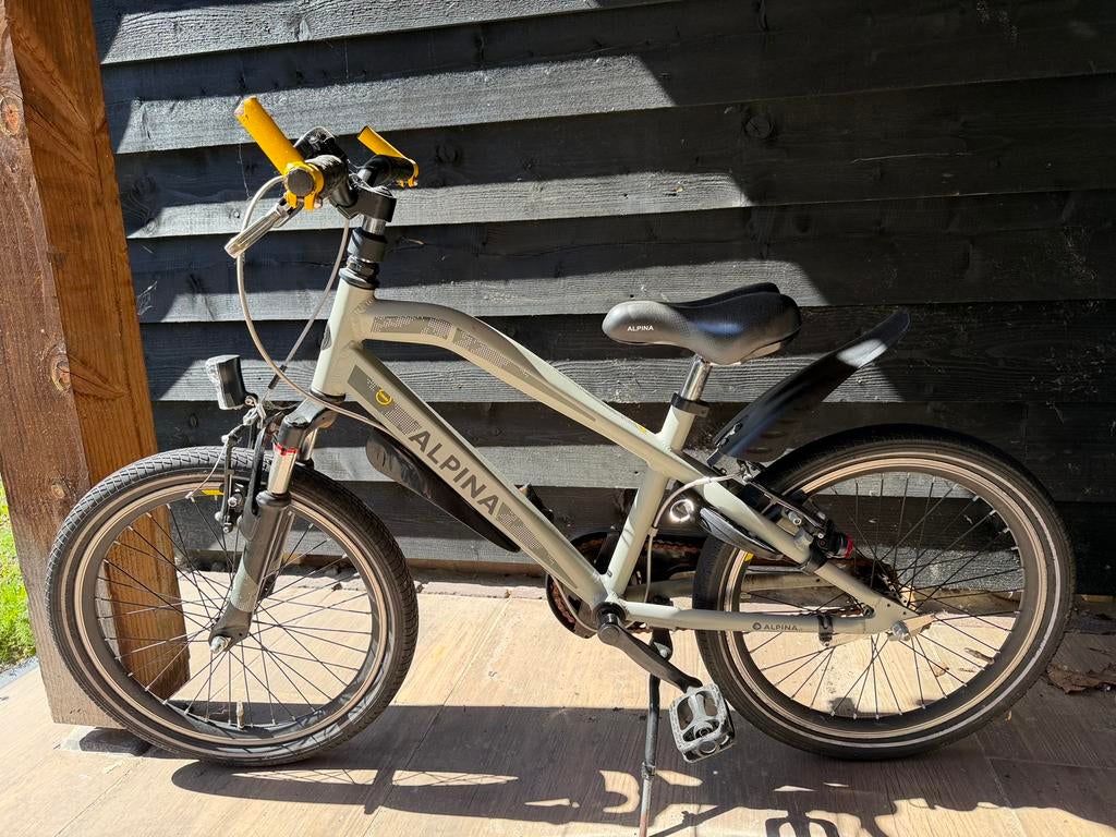 Alpina trail 20 inch, Fietsen en Brommers, Fietsen | Jongens, Ophalen, Terugtraprem, Gebruikt, Handrem