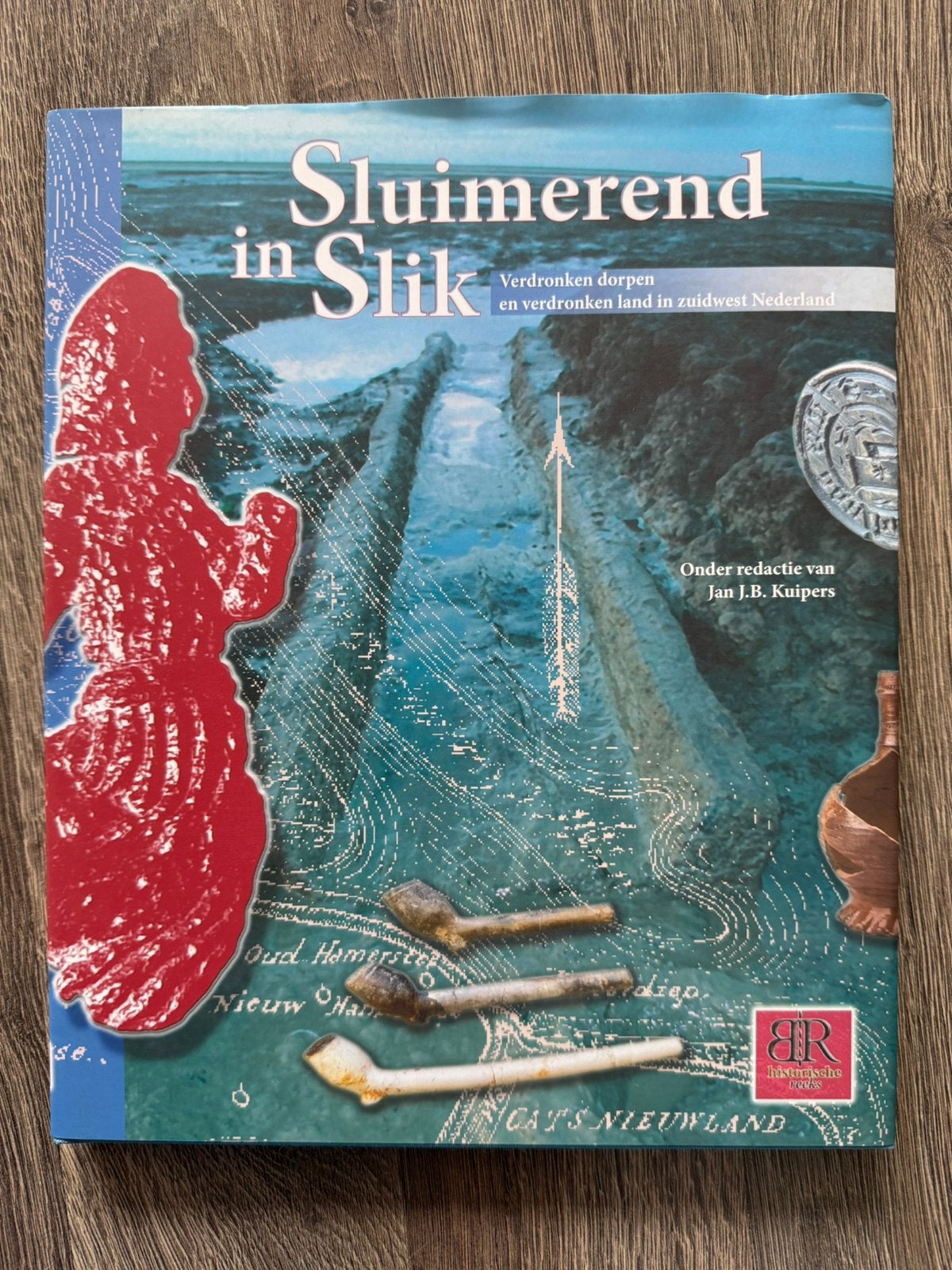 Sluimerend in slik; verdronken dorpen in Zeeland, Ophalen, Gelezen, Overige wetenschappen