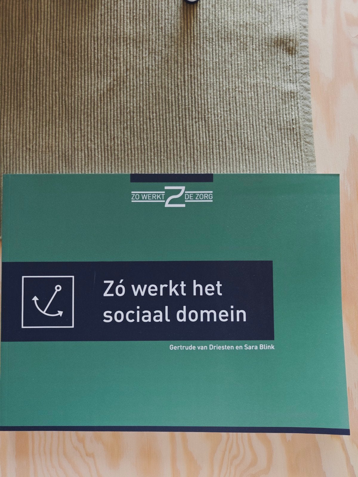 Sara Blink - Zó werkt het sociaal domein, Ophalen of Verzenden, Zo goed als nieuw, Sara Blink; Gertrude van Driesten