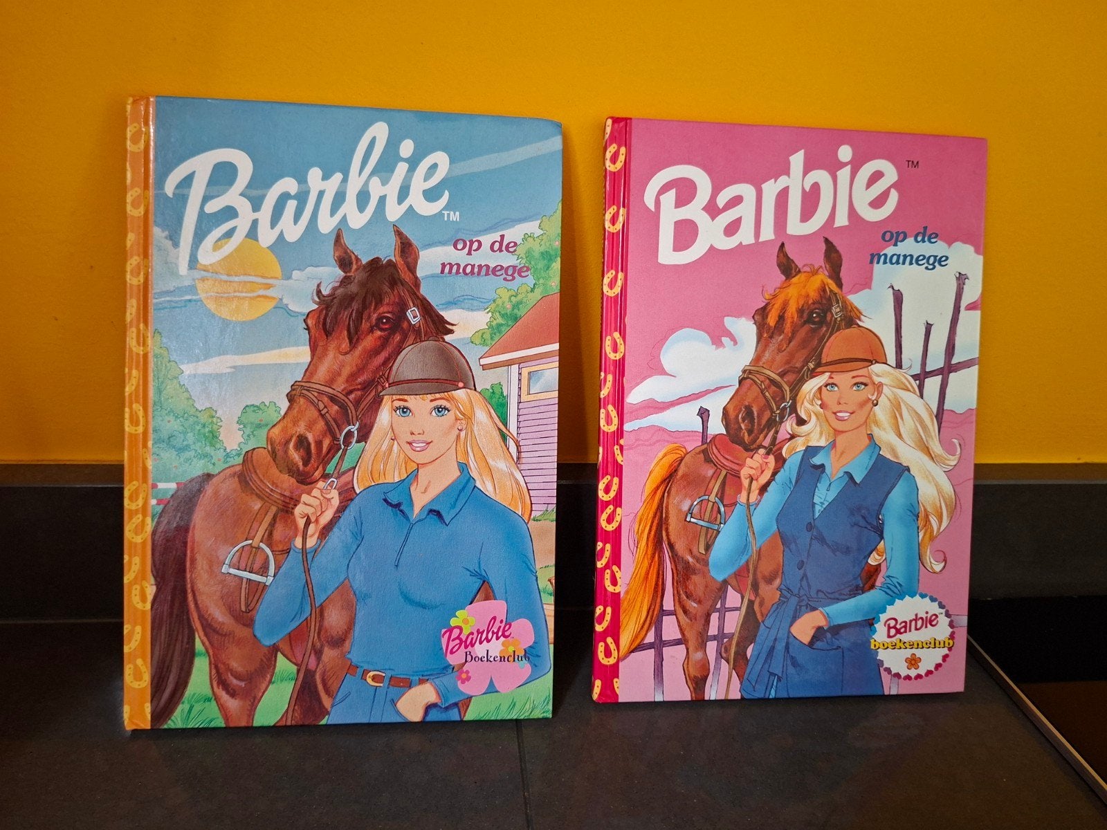 Barbie op de manege - leesboek 2x - Barbie boekenclub, Boeken, Kinderboeken | Jeugd | onder 10 jaar, Ophalen of Verzenden, Gelezen