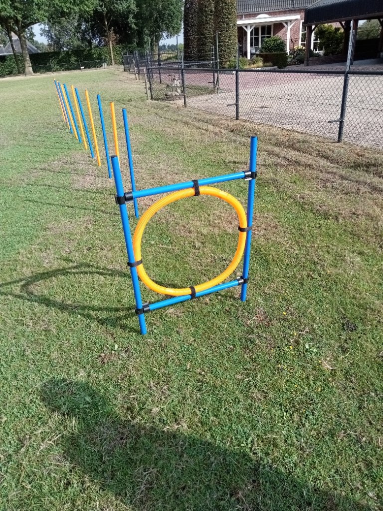 Hondenbehendigheid.Trixie Agility Slalom en Ring, Ophalen, Nieuw, Behendigheidspeelgoed, Trixie