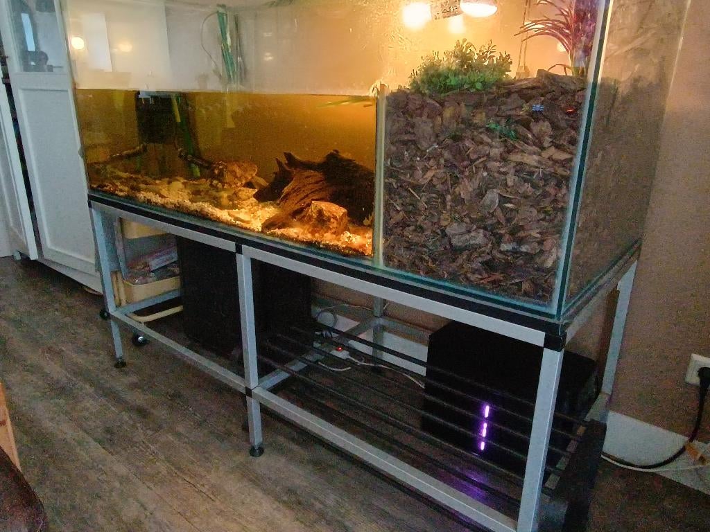 Aquarium / terrarium 150 x 60 cm (leeg), Dieren en Toebehoren, Reptielen en Amfibieën | Toebehoren, Ophalen, Gebruikt, Terrarium of Paludarium