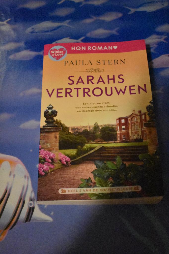 boek van Paula Stern/Sarahs vertrouwen, Ophalen of Verzenden, Zo goed als nieuw, Paula Stern