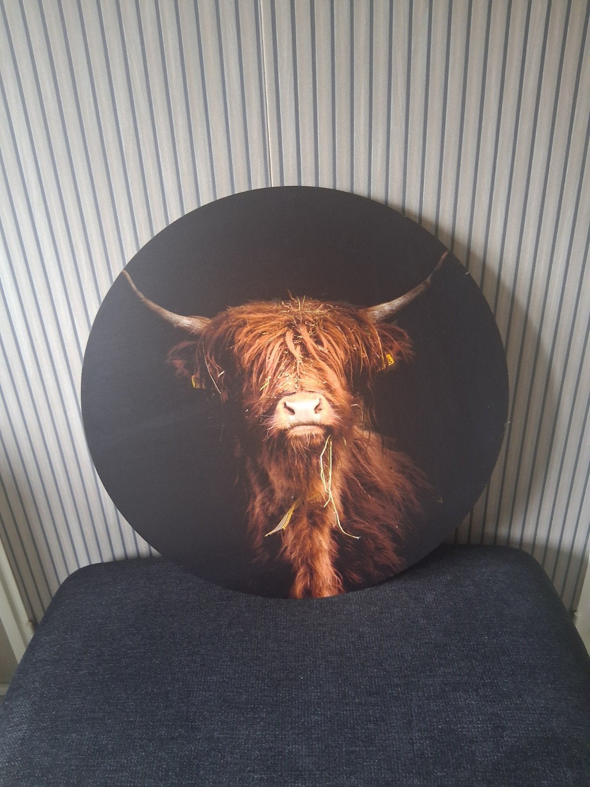 Ronde wanddecoratie Schotse Hooglander, 50 – 75, Ophalen of Verzenden, Zo goed als nieuw, Foto of Poster