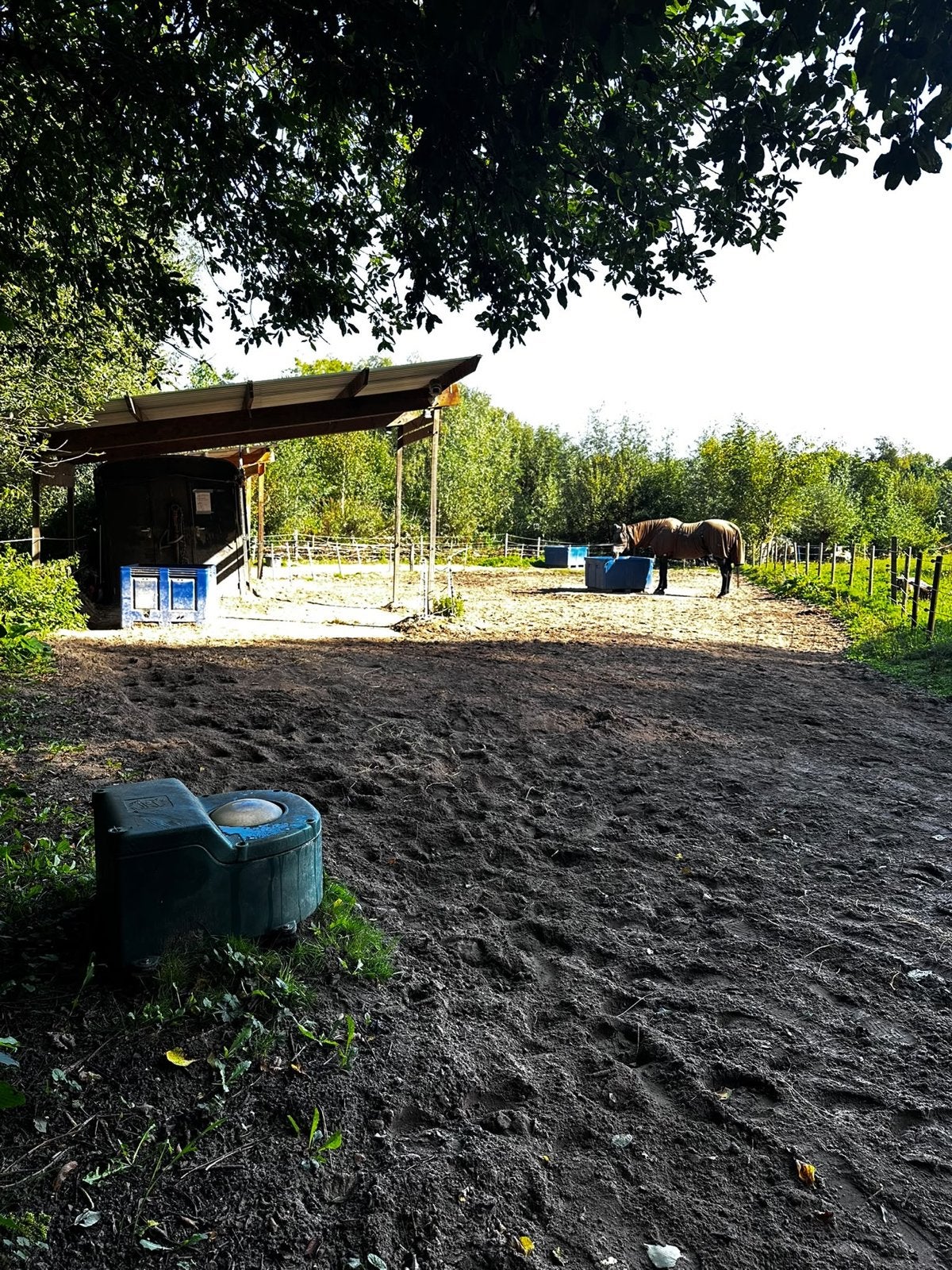 Per direct stalling op 24/7 paddock beschikbaar, Dieren en Toebehoren