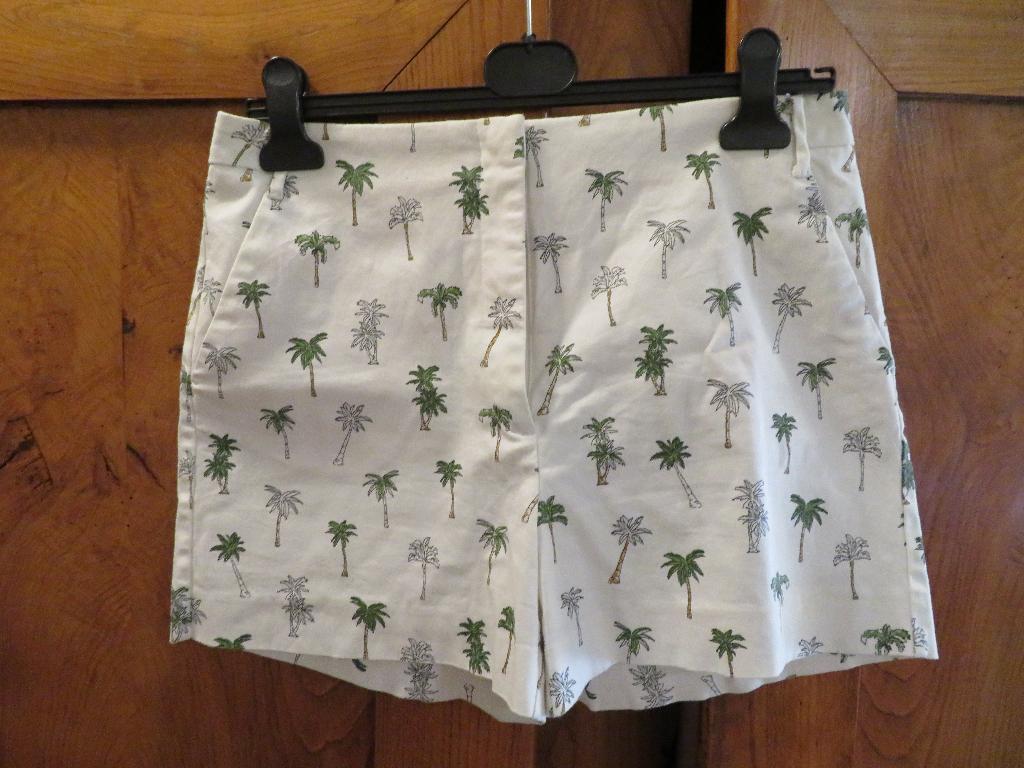 Dames korte broek Zara Maat L nieuw, Kleding | Dames, Kort, Maat 42/44 (L), Nieuw, Ophalen of Verzenden