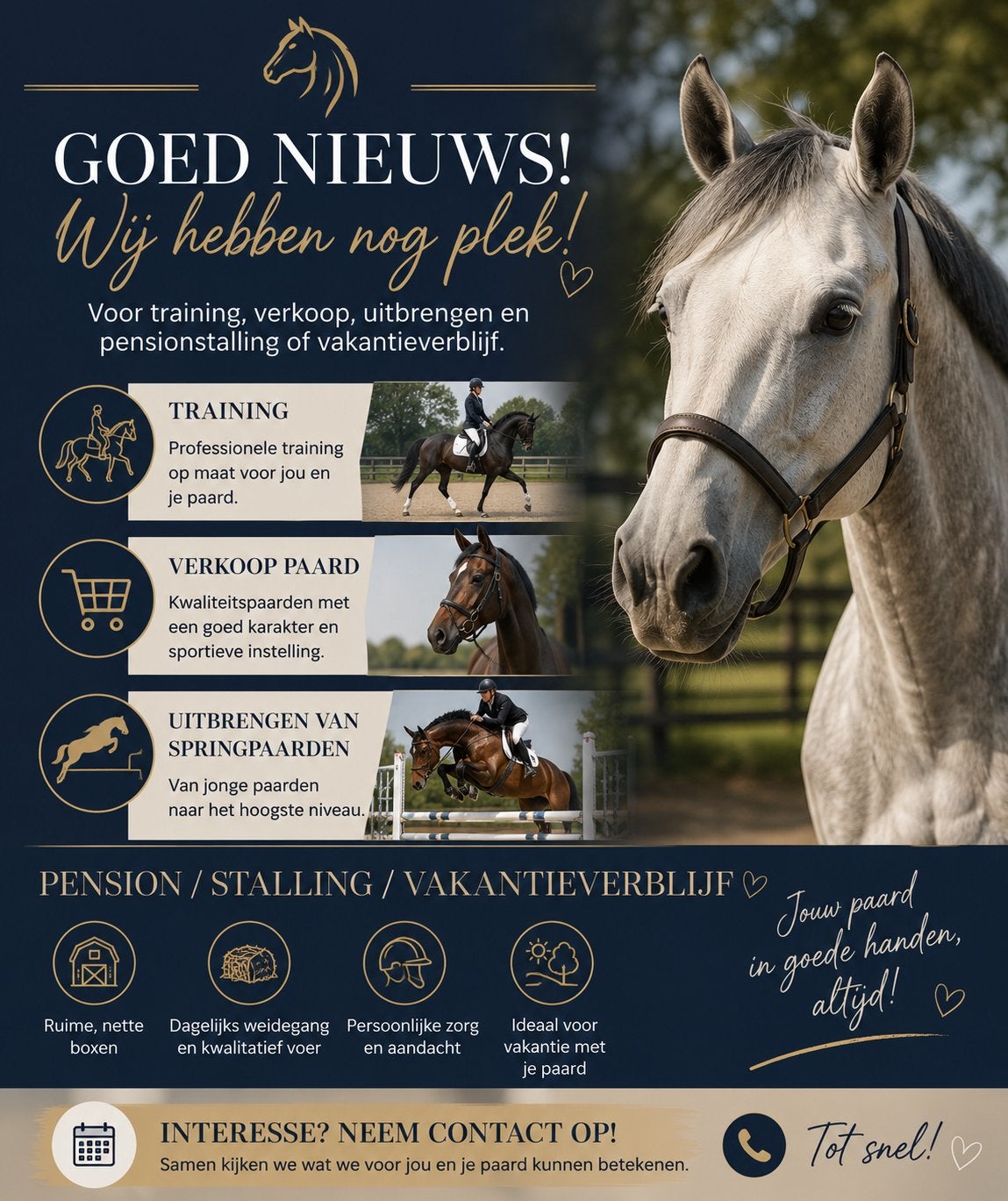 professionele begeleiding of een fijne plek voor jouw paard?, Diensten en Vakmensen, Dieren | Paarden | Verzorging, Oppas en Les