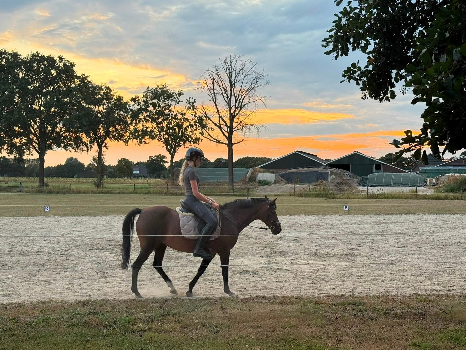 Lease pony gezocht!, Ophalen of Verzenden