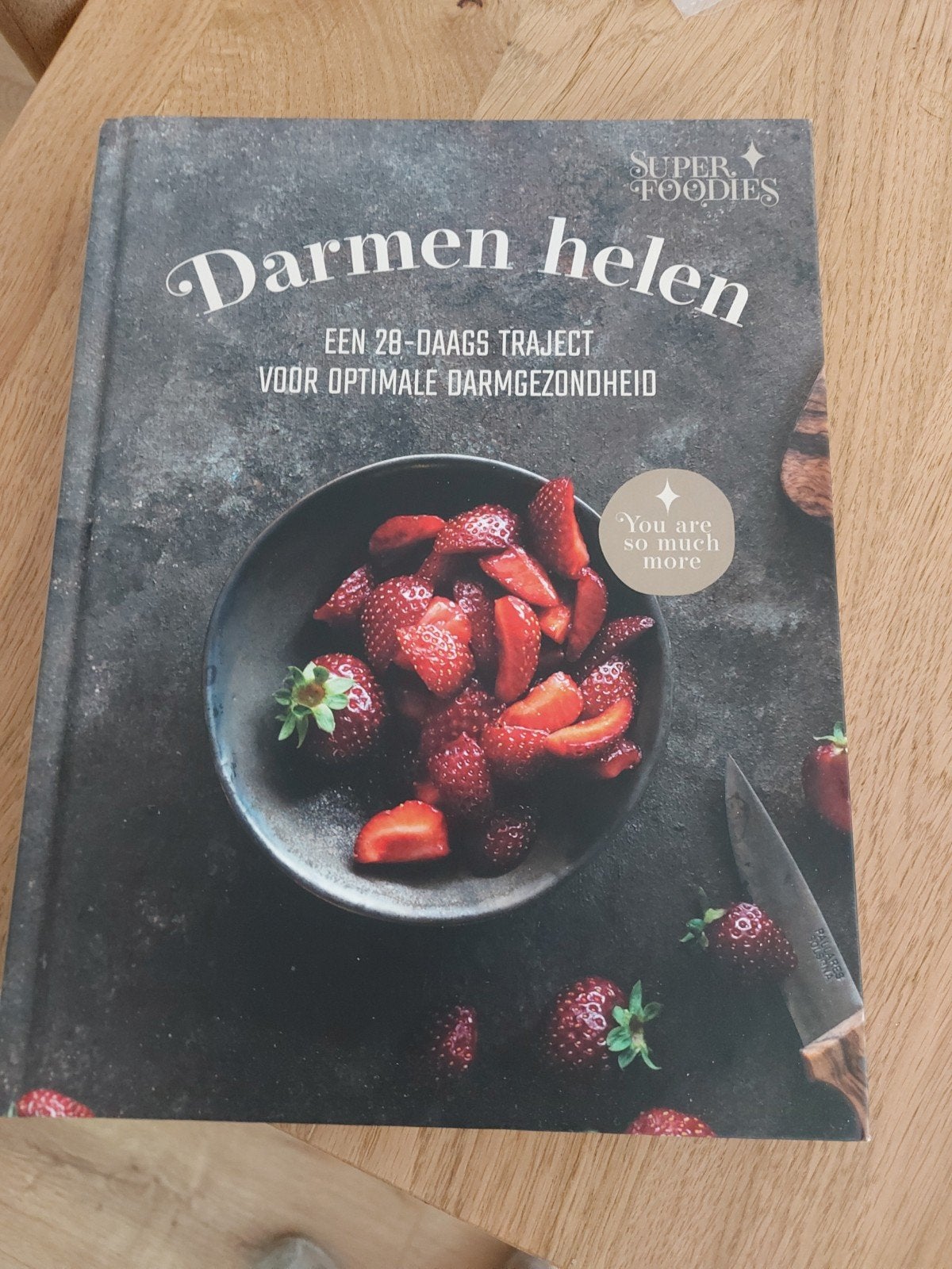 Patricia Lautenschutz - Darmen Helen, Boeken, Ophalen, Zo goed als nieuw, Patricia Lautenschutz; Jesse van der Velde