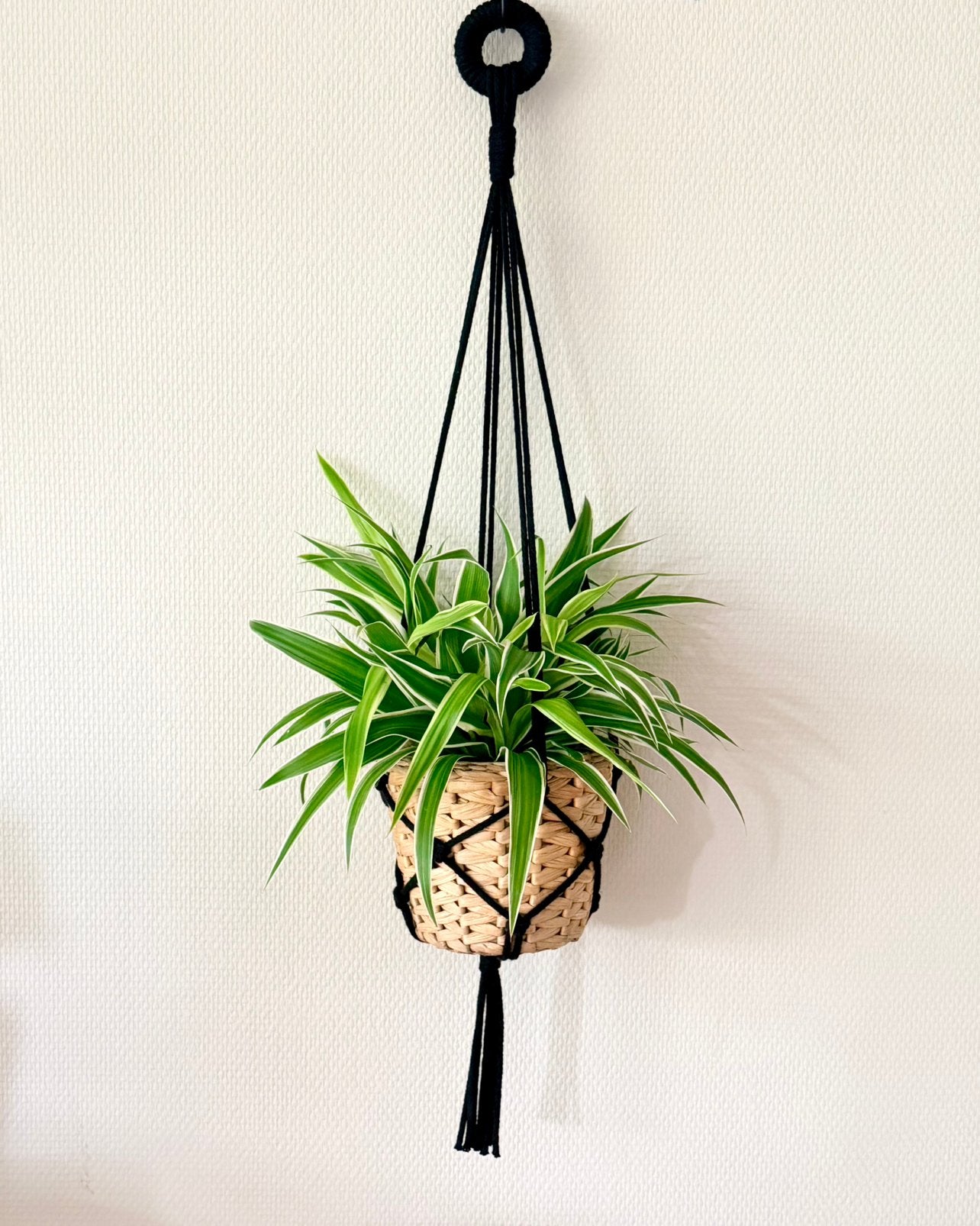 Zwarte plantenhanger - handgemaakt/macramé - 80 cm, Zwart, Nieuw, Ophalen of Verzenden, Modern