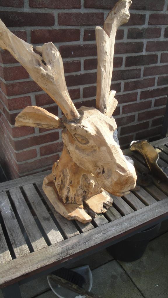 Eland kop, hardhout, Ophalen, Zo goed als nieuw, Hout, Dierenbeeld